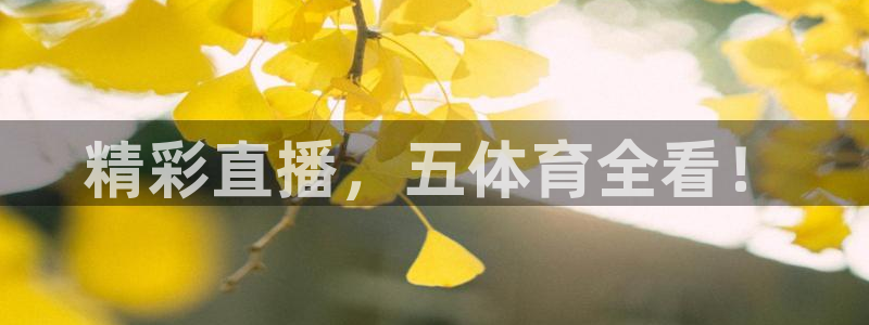新球体育赛事：精彩直播，五体育全看！